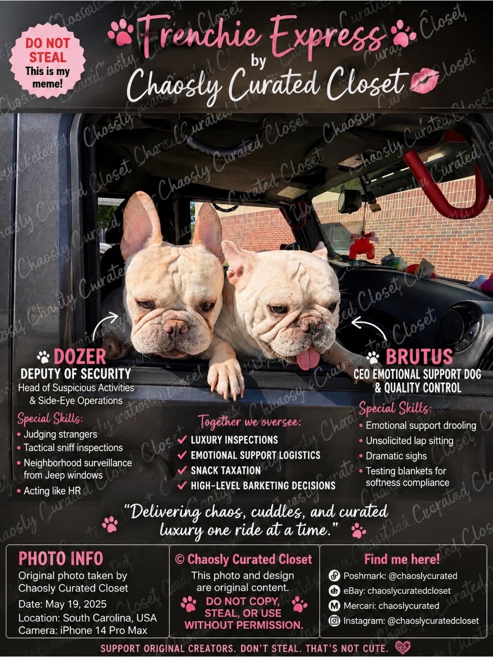 Frenchie Delivery Security Team | Chaosly Curated Closet Mascots